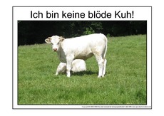 Blöde-Kuh-2.pdf